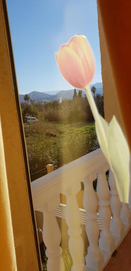 Apartamento Mar Y Sol, دينايا المظهر الخارجي الصورة